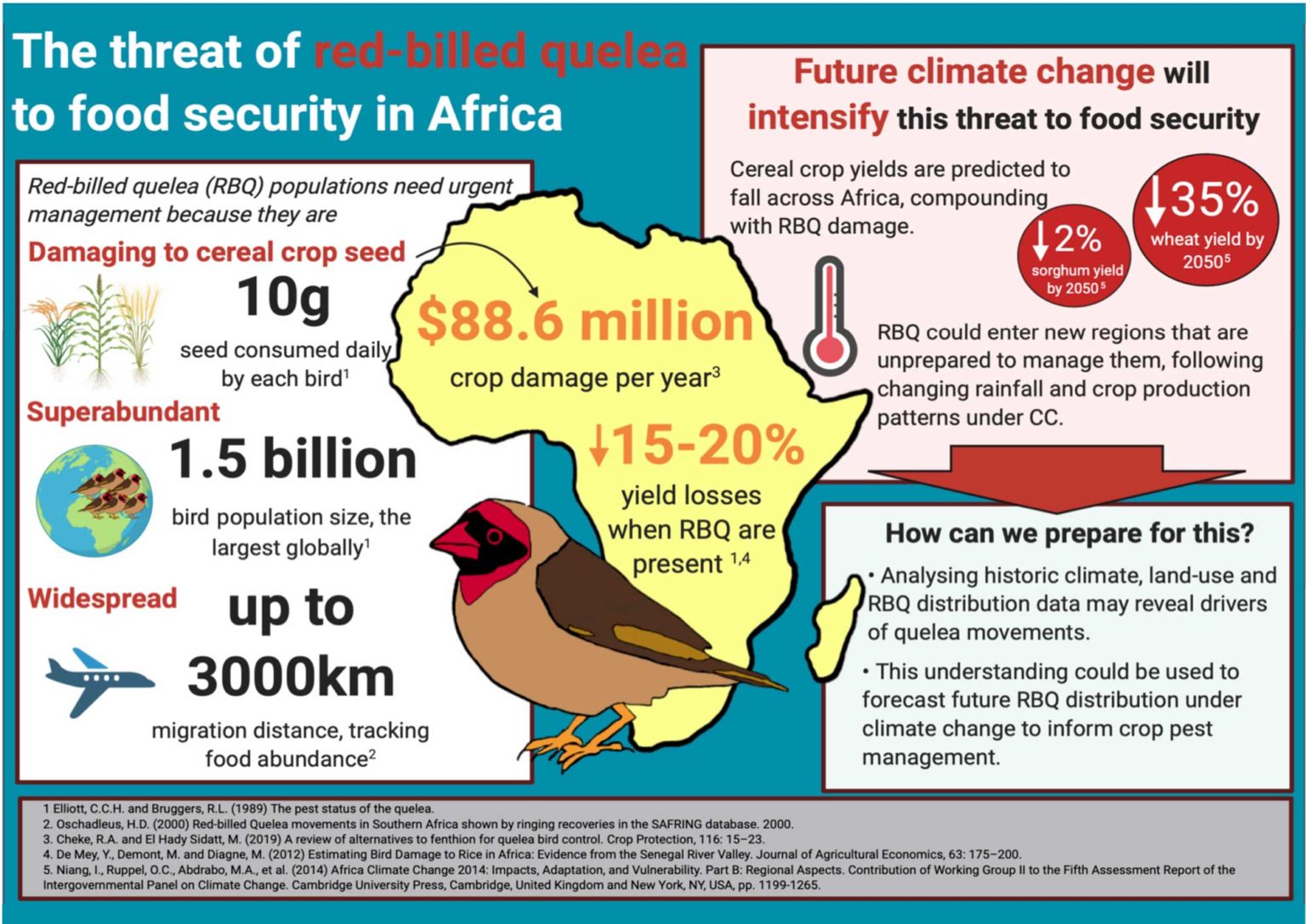 Dobson Rachel The Threat Of Red Billed Quelea To Food Security In